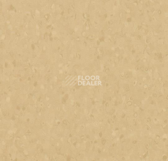 Линолеум Forbo Sphera Element 50059 sahara фото 1 | FLOORDEALER